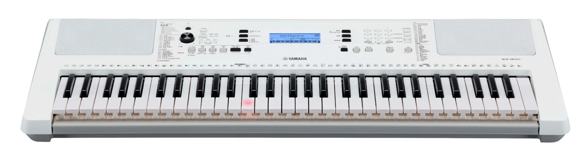EZ-300 Leuchttasten-Keyboard