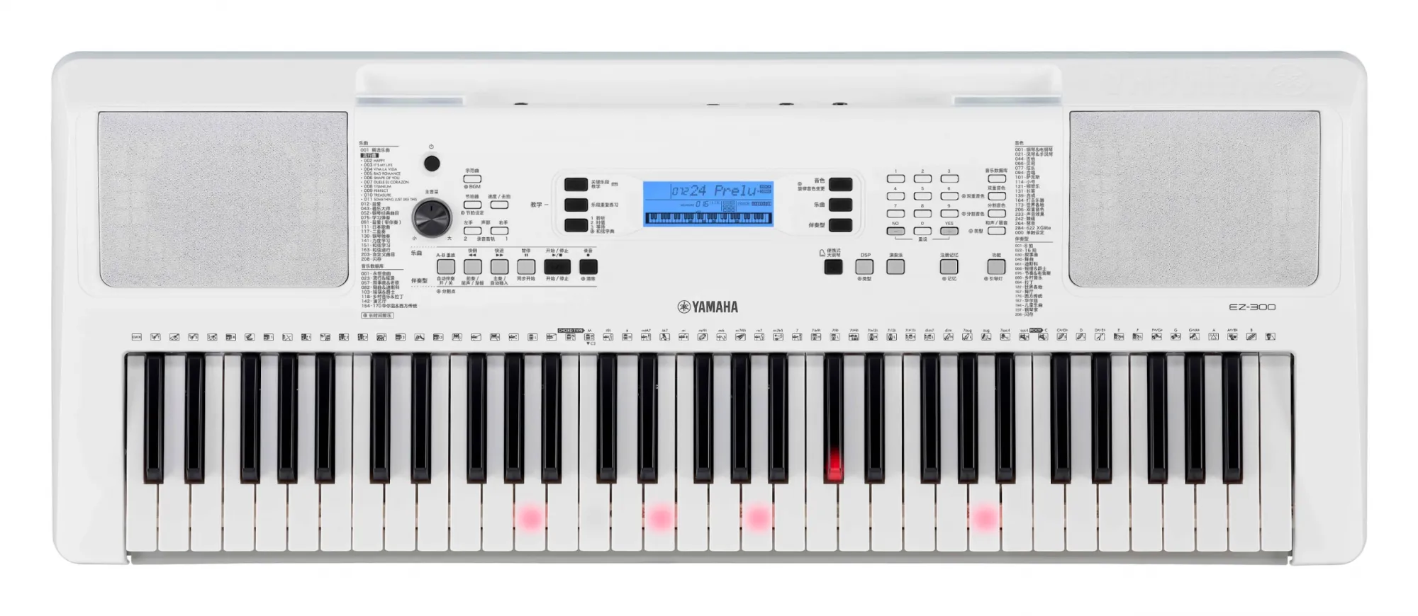 EZ-300 Leuchttasten-Keyboard