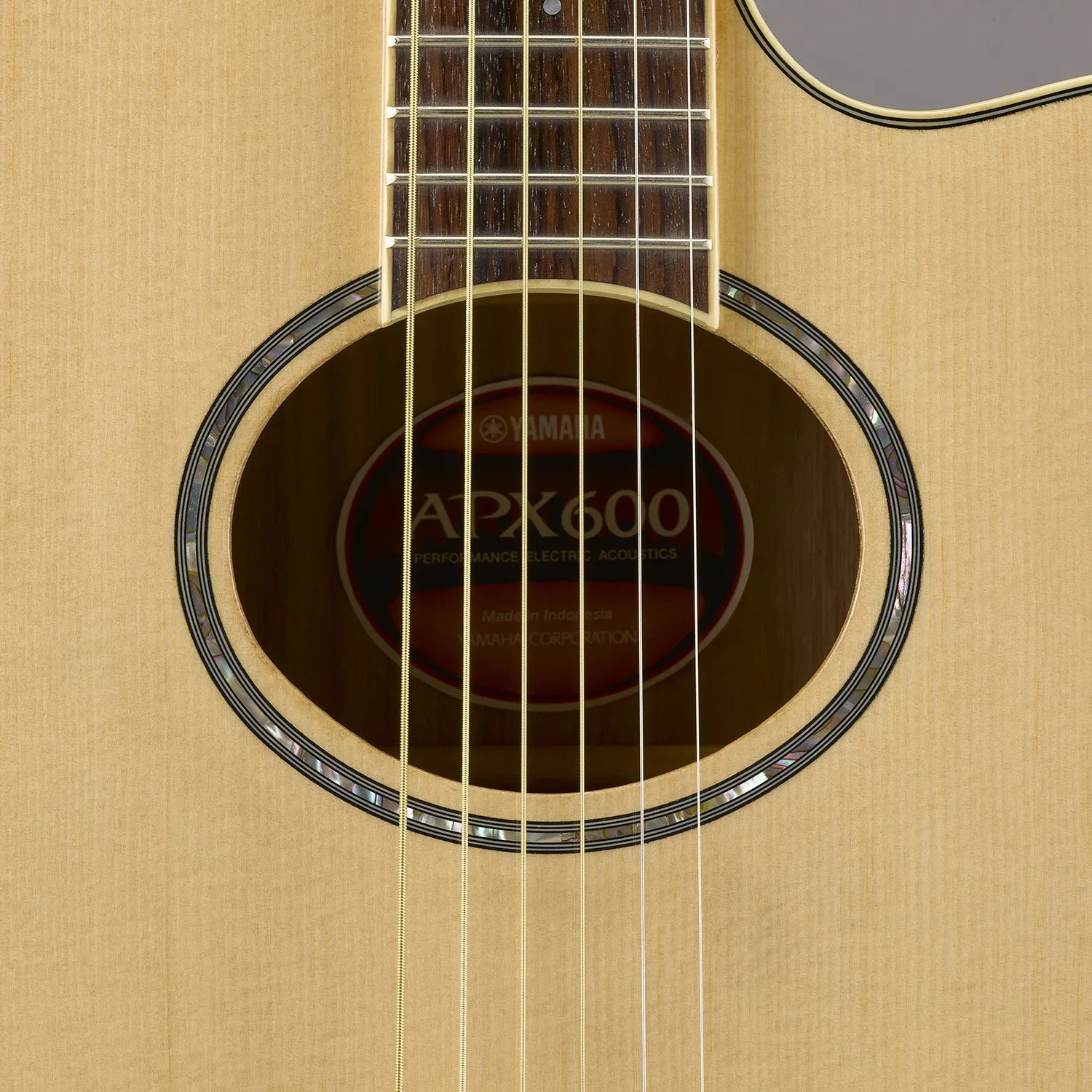 APX600 Westerngitarre