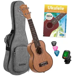 2027 Ukulele Starterset